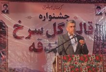 محسن نژاد: رویدادهای مردمی، کلید معرفی جهانی اسفندقه است - خبرگزاری مهر | اخبار ایران و جهان