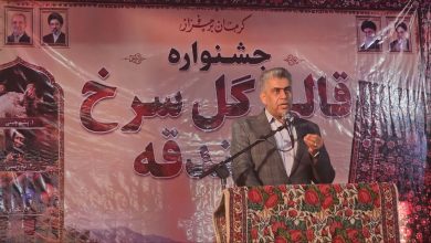 محسن نژاد: رویدادهای مردمی، کلید معرفی جهانی اسفندقه است - خبرگزاری مهر | اخبار ایران و جهان
