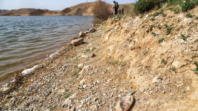 هشدار جدی به گردشگران؛ وارد سدها و بندهای آبی استان سمنان نشوید - خبرگزاری مهر | اخبار ایران و جهان