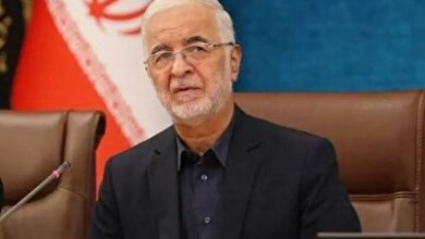 وزیر کشور پاکستان حامل چه پیامی بود؟ / اسکندر مومنی پاسخ داد