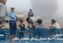 ویدیو/ «دودوش»؛ میراث ۳۰۰ ساله دامداران روستای شانه‌تراش تنکابن