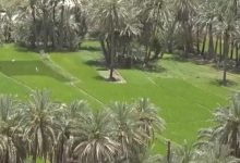 «کلگان»؛ بهشتی پنهان در دل کوه‌های سراوان - خبرگزاری مهر | اخبار ایران و جهان