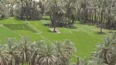 «کلگان»؛ بهشتی پنهان در دل کوه‌های سراوان - خبرگزاری مهر | اخبار ایران و جهان
