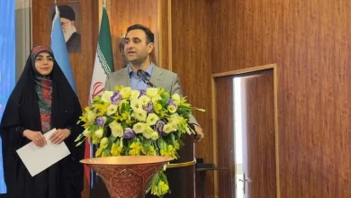 ۲۱ هزار پرونده صنایع‌دستی در سراسر کشور به تسهیلات اشتغال‌زایی متصل شد