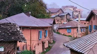 ۵ اثر ناملموس روستای شانه‌تراش ثبت ملی شد