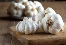 کشف ماده‌ای شگفت‌انگیز در سیر کهنه با اثرات ضدپیری