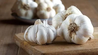 کشف ماده‌ای شگفت‌انگیز در سیر کهنه با اثرات ضدپیری