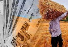 واریزی جدید برای کشاورزان / حساب گندم‌کاران شارژ شد