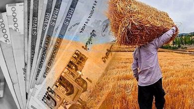 واریزی جدید برای کشاورزان / حساب گندم‌کاران شارژ شد