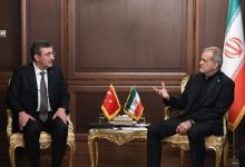 روایتی از دیدار مهم پزشکیان و معاون رئیس جمهور ترکیه/ تمام دنیا شاهد مقاومت ملت ایران بود