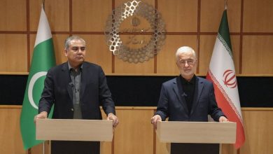 روابط تجاری باید همپای روابط سیاسی ارتقا یابد روابط تجاری باید همپای روابط سیاسی ارتقا یابد