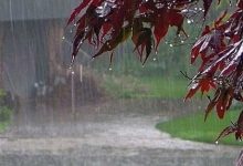 آغاز بارش‌های سیل آسا در این مناطق کشور/ گردوخاک و باد‌های ۱۲۰ روزه در راه این استان ها