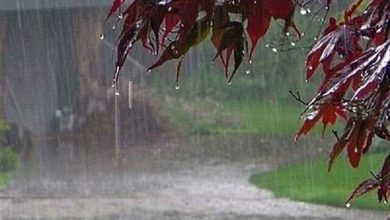 آغاز بارش‌های سیل آسا در این مناطق کشور/ گردوخاک و باد‌های ۱۲۰ روزه در راه این استان ها