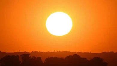 موج مرگبار گرما در آمریکا / دست‌کم ۲۵ نفر جان باختند