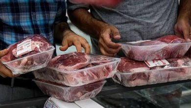 اتفاق مهم در بازار گوشت قرمز / آیا قیمت گوشت گران میشود؟ اتفاق مهم در بازار گوشت قرمز / آیا قیمت گوشت گران میشود؟