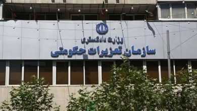 مدیران خودرو در آستانه برخورد تعزیراتی؛ سازمان حمایت نسبت به اختلاف قیمت‌ها هشدار داد