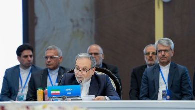 تأکید ایران بر جایگاه سازمان همکاری شانگهای