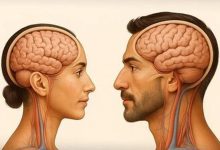 پژوهش جدید درباره پیری مغز / حقیقت شوکه‌کننده درباره پیری مغز مردان