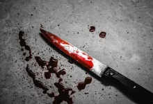 جزئیات جنایت دلخراش خیابان کارگر جنوبی/ قاتل زن و شوهر جوان به دو بار قصاص محکوم شد
