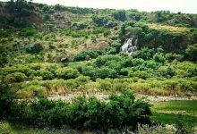 جنگل‌های کوهمره سرخی شیراز ظرفیت ملی فارس برای توسعه گردشگری طبیعی - خبرگزاری مهر | اخبار ایران و جهان
