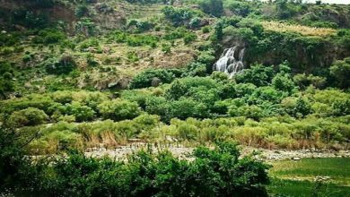 جنگل‌های کوهمره سرخی شیراز ظرفیت ملی فارس برای توسعه گردشگری طبیعی - خبرگزاری مهر | اخبار ایران و جهان
