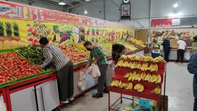 میادین تره‌بار تهران در این روز‌ها تعطیل نیستند/ تعطیلی میادین در ۱۵ تیرماه