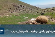 ویدیو/ تجربه اوج آرامش در طبیعت قله بزقوش سراب