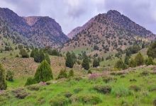 «گلیل» نگینی در مرز ایران و ترکمنستان