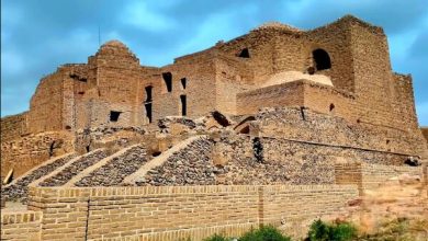 افین در مسیر ثبت جهانی؛ روستایی که تاریخ و زرشک را به هم گره زده است - خبرگزاری مهر | اخبار ایران و جهان افین در مسیر ثبت جهانی؛ روستایی که تاریخ و زرشک را به هم گره زده است - خبرگزاری مهر | اخبار ایران و جهان
