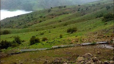 شرایط آب و هوایی زنجان فرصتی برای رونق گردشگری تابستانی است - خبرگزاری مهر | اخبار ایران و جهان