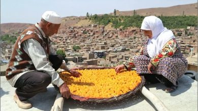 ثبت جشنواره برداشت «آلوی شهر خرو» در تقویم رویدادهای گردشگری کشور ثبت جشنواره برداشت «آلوی شهر خرو» در تقویم رویدادهای گردشگری کشور