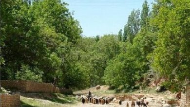 روستای «استاد»؛ سمفونی زیبا از نواها و نماهای طبیعی در خراسان شمالی