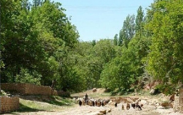 روستای «استاد»؛ سمفونی زیبا از نواها و نماهای طبیعی در خراسان شمالی روستای «استاد»؛ سمفونی زیبا از نواها و نماهای طبیعی در خراسان شمالی