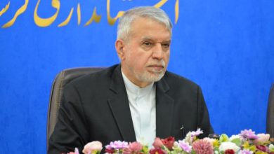 صالحی‌امیری: بروجرد را به مقصد گردشگری فرهنگی و عرفانی تبدیل می‌کنیم