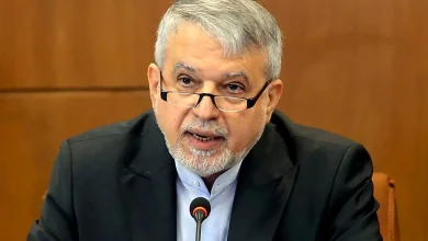 صنایع خلاق باید از مرحله کاشت به مرحله برداشت برسد