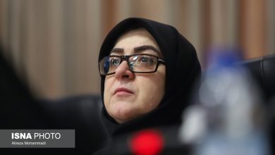 قول سخنگوی دولت برای پیگیری مسئله جابه‌جایی اموال هنرهای ملی