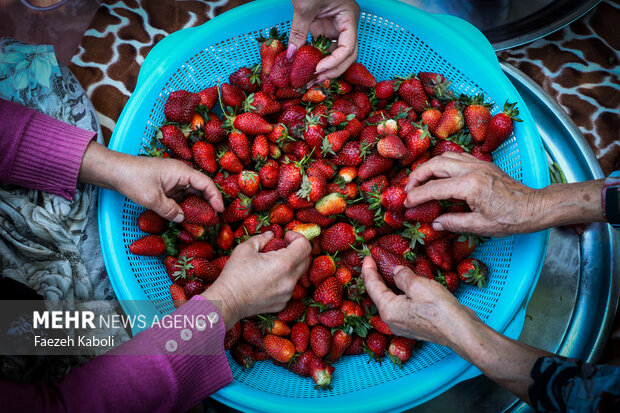 گردشگری کشاورزی؛ فرصتی طلایی برای شکوفایی اقتصاد روستایی خوزستان