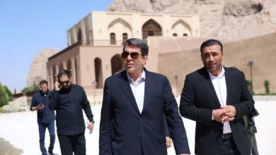 تأکید استاندار کرمان بر تسریع در بازگشایی باغ تاریخی بیرم‌ آباد - خبرگزاری مهر | اخبار ایران و جهان