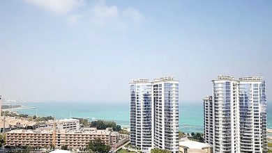 سبدسازی برای توریسم کیش سبدسازی برای توریسم کیش