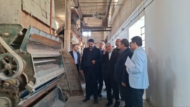 بازدید وزیر میراث از موزه علم و صنعت گرمسار؛ روایتی از ورود صنعت و فناوری به «طلای سفید»