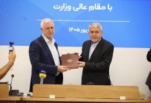 برزین ضرغامی معاون صنایع دستی شد