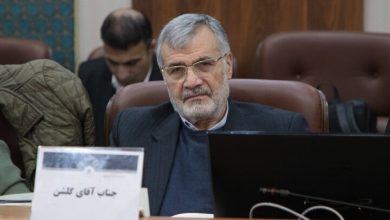 تشکیلات لازم برای سرکشی مستمر به آثار تاریخی دیگر وجود ندارد
