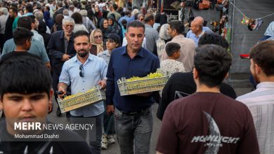 جشنواره ملی انگور مشگین‌شهر - خبرگزاری مهر | اخبار ایران و جهان