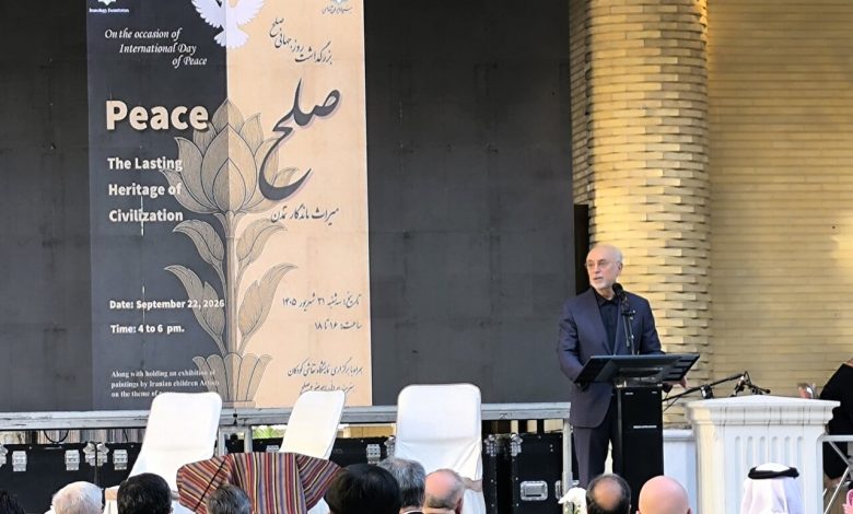 صالحی: دفاع از روح منشور سازمان ملل وظیفه مشترک همه است صالحی: دفاع از روح منشور سازمان ملل وظیفه مشترک همه است