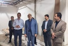 مسچیان: ظرفیت اقامتی لاهیجان بیش از ۱۰۰۰ تخت افزایش می‌یابد - خبرگزاری مهر | اخبار ایران و جهان