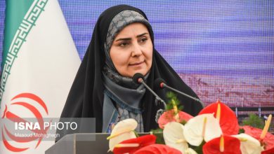 وزیر راه: امیدواریم پروازهای نجف به زودی باز شود وزیر راه: امیدواریم پروازهای نجف به زودی باز شود