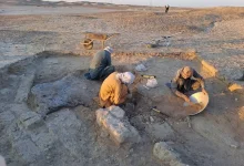 کشف بازی فکری ۴۶۰۰ ساله و شانه استخوانی منقوش در شهرسوخته