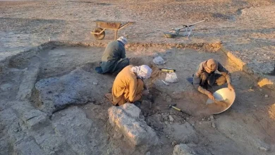 کشف بازی فکری ۴۶۰۰ ساله و شانه استخوانی منقوش در شهرسوخته کشف بازی فکری ۴۶۰۰ ساله و شانه استخوانی منقوش در شهرسوخته