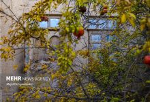 روستاهای یزد؛ ظرفیتی فراتر از سکونت برای گردشگری و اقتصاد محلی - خبرگزاری مهر | اخبار ایران و جهان