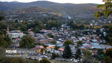 برگشت روستاهای مازندران به چرخه اقتصاد؛ از گلابگیری تا گردشگری - خبرگزاری مهر | اخبار ایران و جهان برگشت روستاهای مازندران به چرخه اقتصاد؛ از گلابگیری تا گردشگری - خبرگزاری مهر | اخبار ایران و جهان